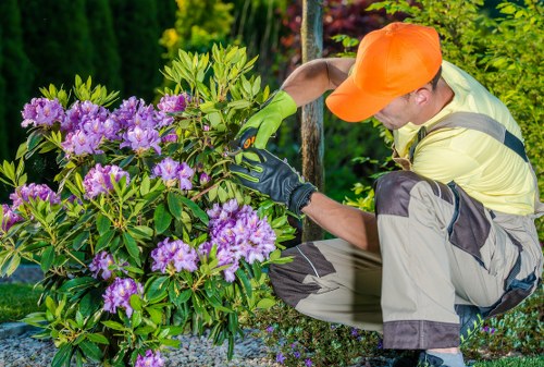 Landscaping team working safely on a garden project