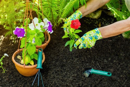 Essential cookies and browsing experience for Landscaping Elephantcastle