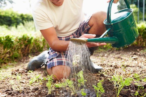 Workers planning a landscaping site with safety measures in place