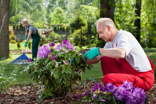 Low-maintenance soft landscaping for a communal garden near Elephant and Castle
