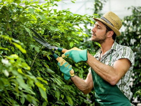 Screen-reader friendly landscaping website content