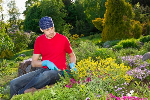 Waste removal and site safety during landscaping works