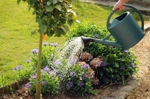 Before and after style garden makeover features for an urban courtyard