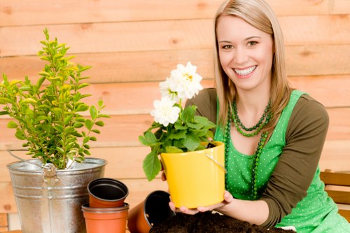 Local drainage solution for a residential or commercial outdoor space