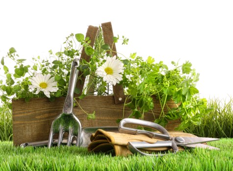 Inspection of garden work after a service issue