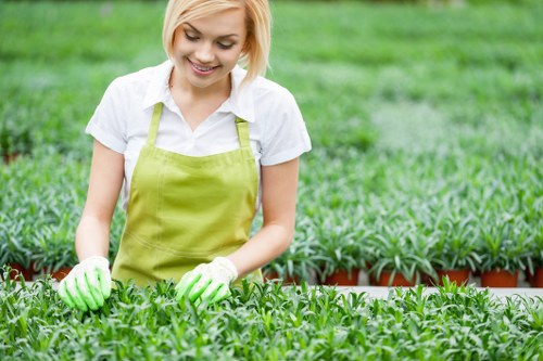 Confident Landscaping Elephantandcastle payment experience with secure online processing