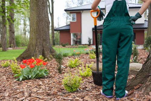 Local landscaping team planning a garden refresh in Elephant and Castle